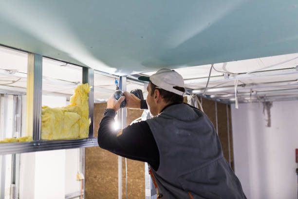 Best Professional Insulation Contractor  in Stratmoor, CO